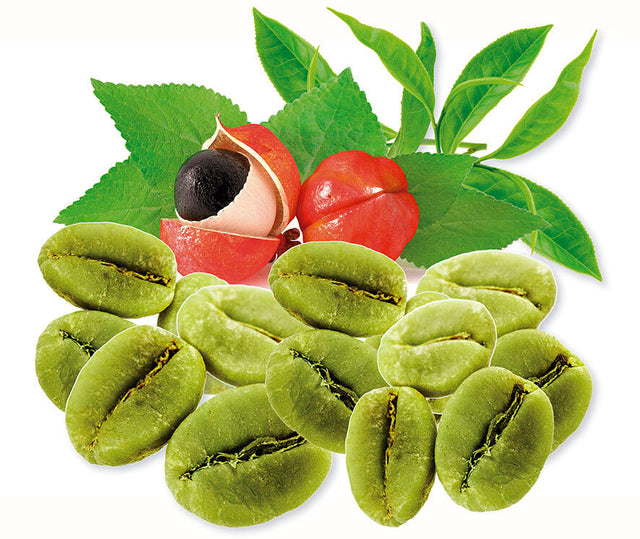 Suplemento natural para perder peso