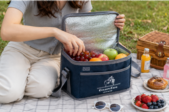 Nevera isotérmica 6L para comida y bebida