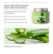 Exfoliante corporal aloe vera 300g