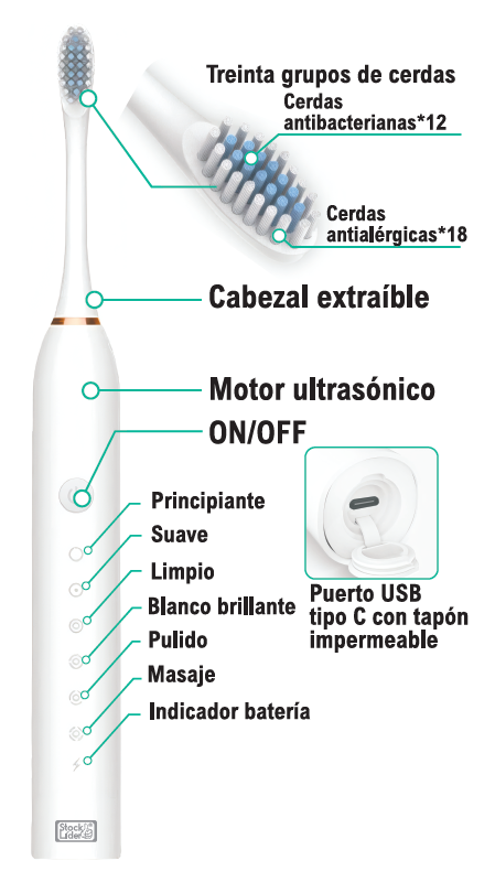 Cepillo de dientes sónico recargable USB-C