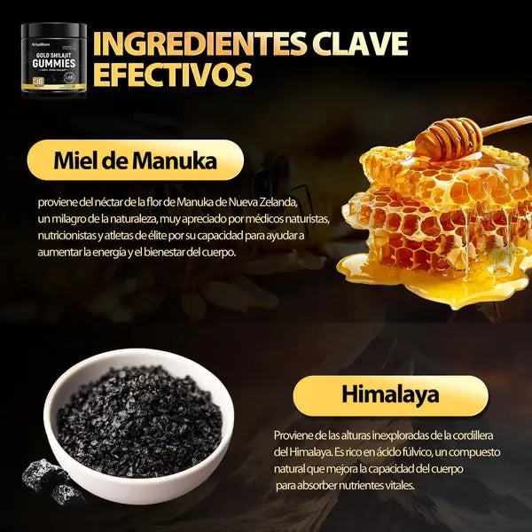 Shilajit fácil de tomar