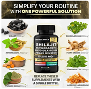 Shilajit con Ashwagandha y Ginseng