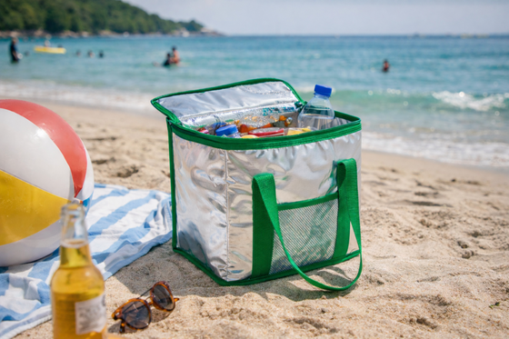 Nevera isotérmica 16L para playa y picnic