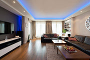 Tira LED regulable 16 colores con mando