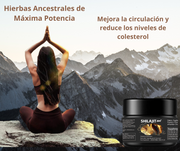 Shilajit Resina natural para energía diaria